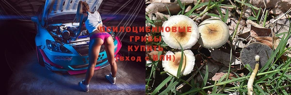 кристаллы Кодинск