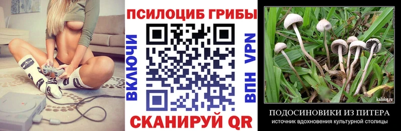 Галлюциногенные грибы мухоморы  Купить  Дальнегорск 